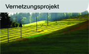 Symbolbild Vernetzungsprojekt